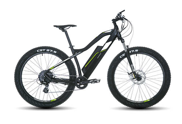 Telefunken EMountainbike M900 Aufsteiger Alu EBike